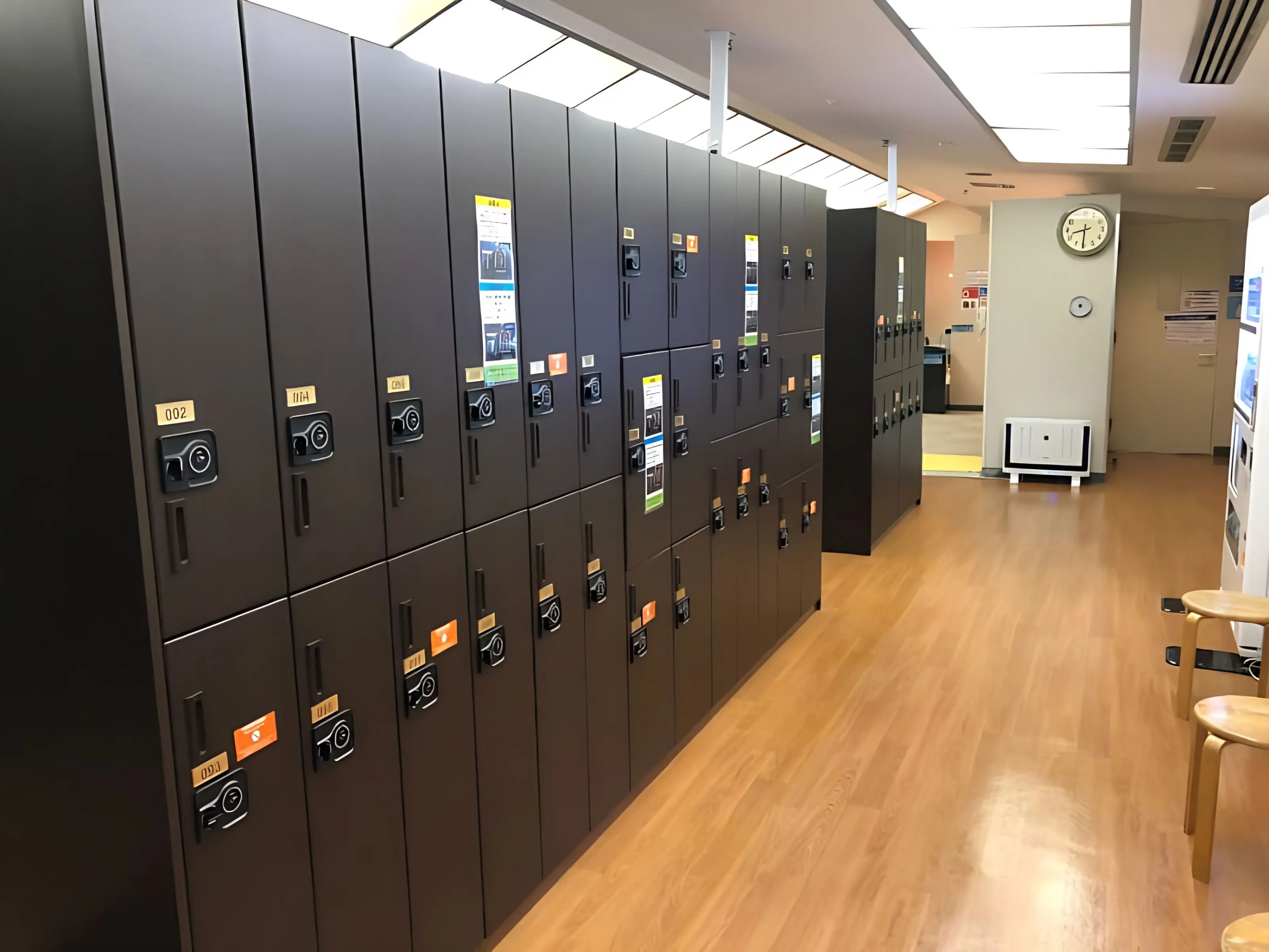 東急スポーツオアシス スイミング・水泳 川口のサムネイル画像 3