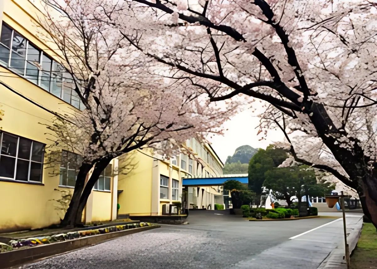 えぶり剣道スポーツ少年団 えぶり小学校体育館のメイン画像