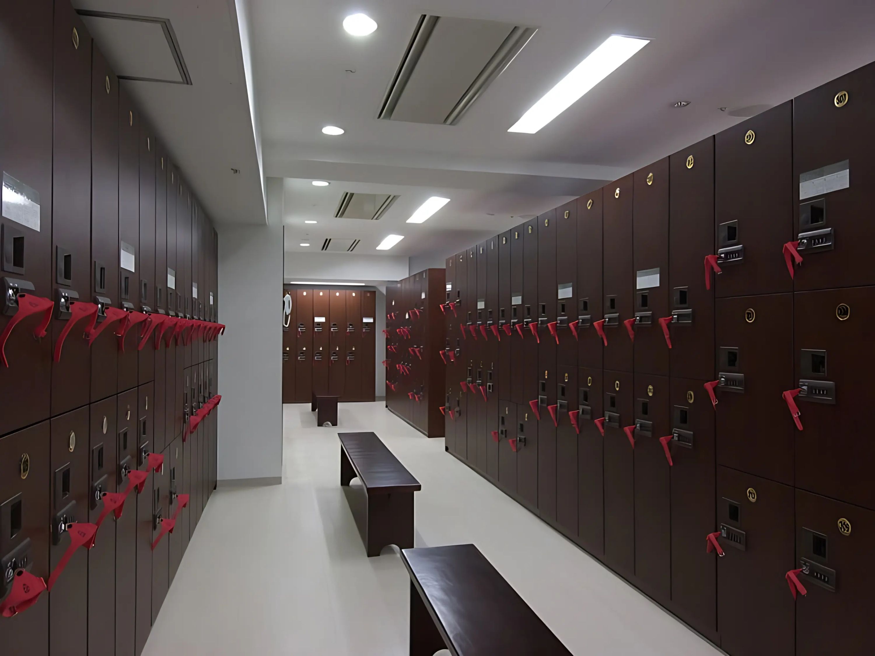 東急スポーツオアシス 運動・体操・陸上 十条24Plusのサムネイル画像 4