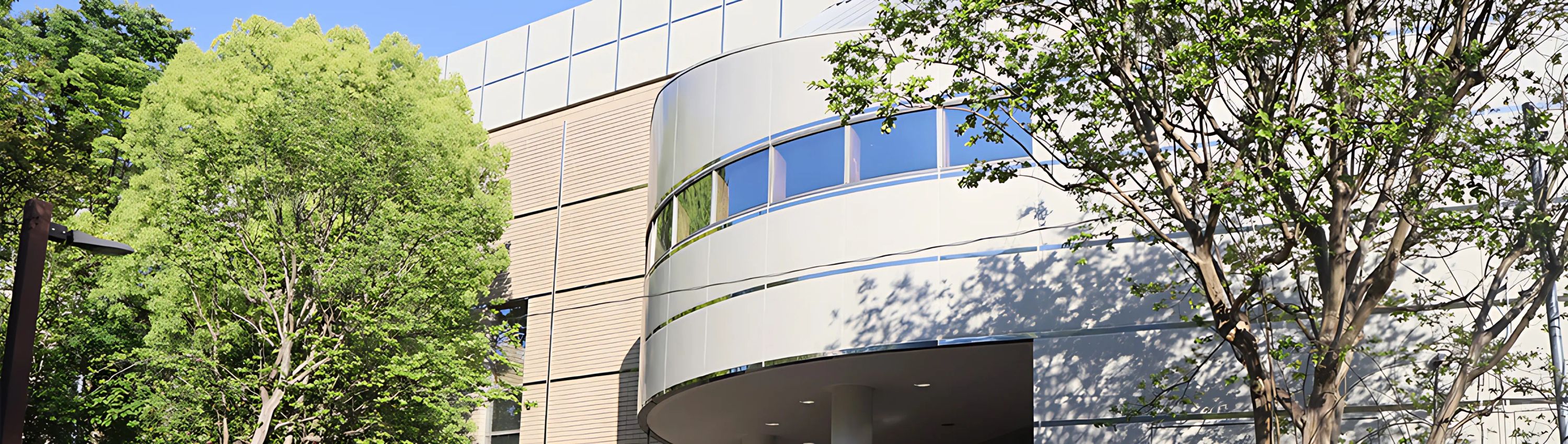 しんゆり体操クラブ 麻生スポーツセンターのメイン画像