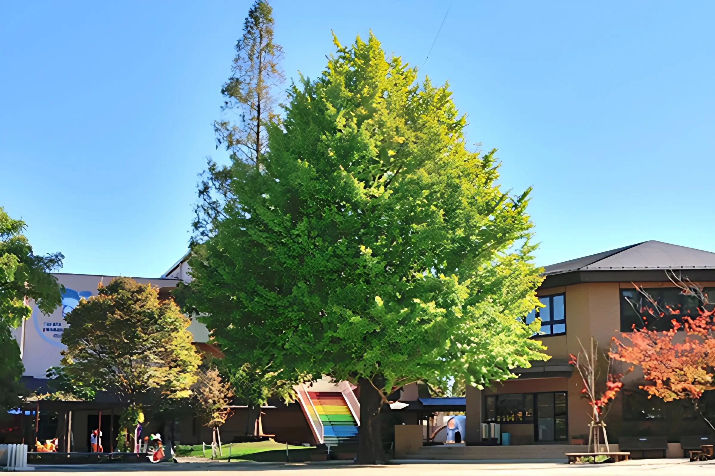 エイム・スポーツクラブ 運動・体操・陸上 たからスポーツクラブのサムネイル画像 5