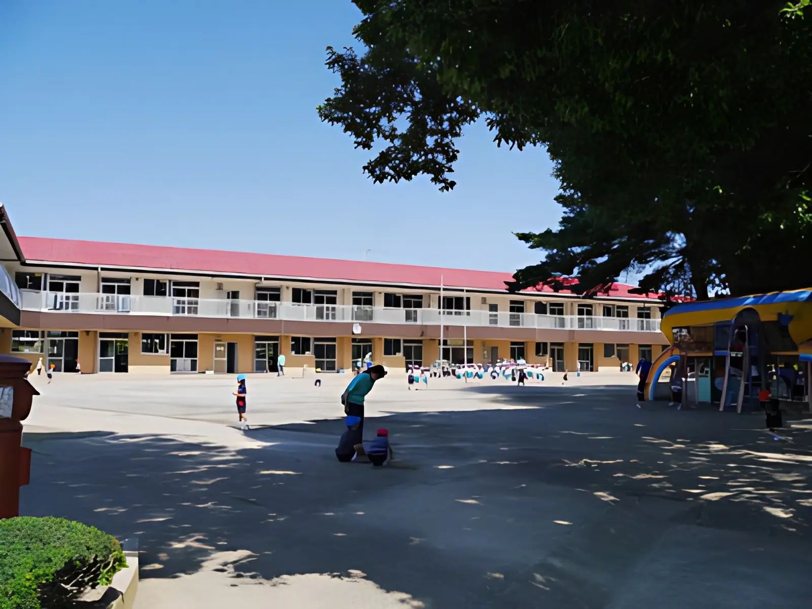 豊四季幼稚園 運動・体操・陸上 旭町教室のメイン画像