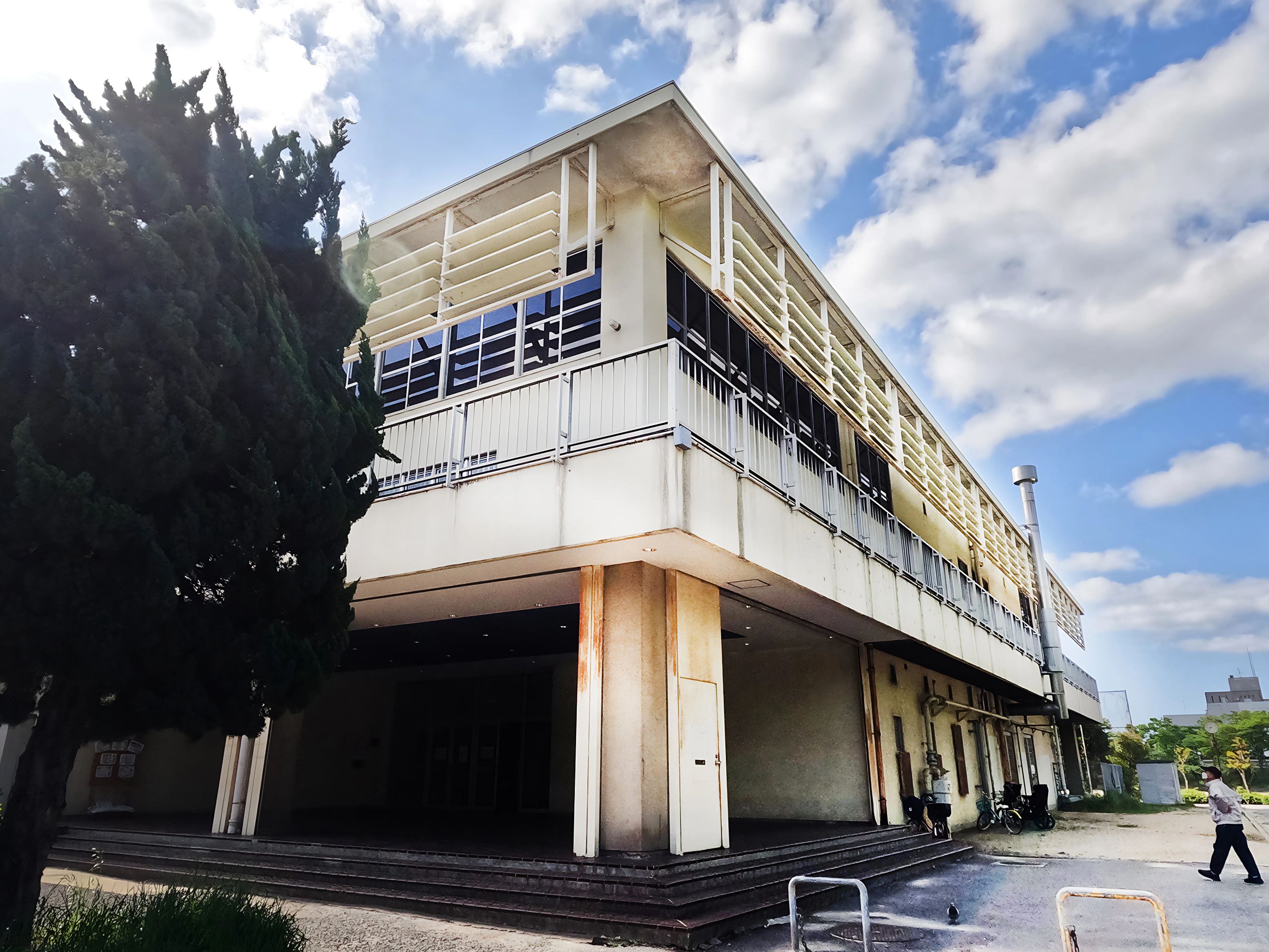 千島体育館 運動・体操・陸上 千島教室のサムネイル画像 2