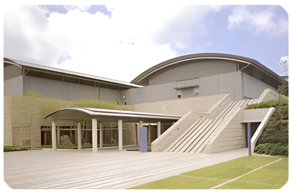 八尾体操クラブ 八尾市総合体育館のメイン画像