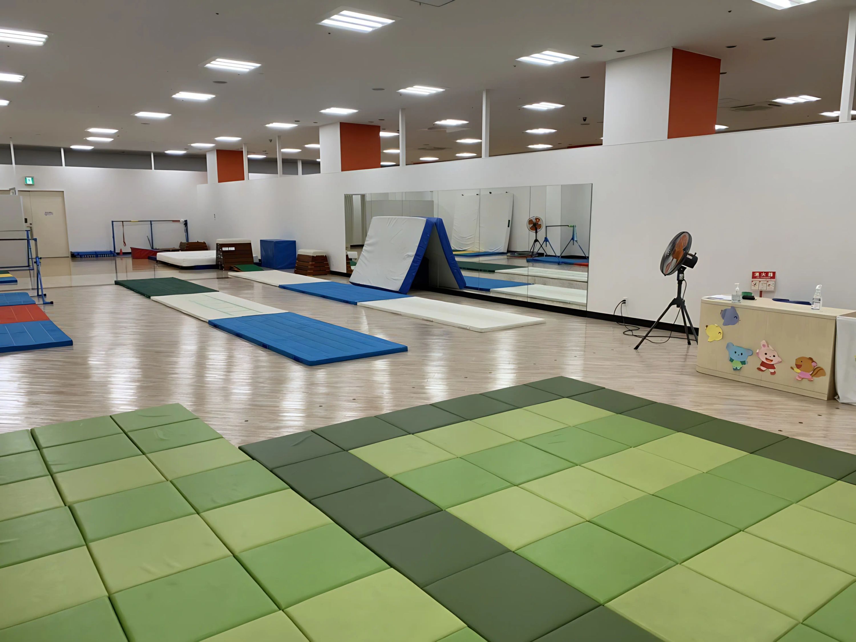 Atsuko.gym 運動・体操・陸上 豊中スタジオ　ライアンクラスのサムネイル画像 2