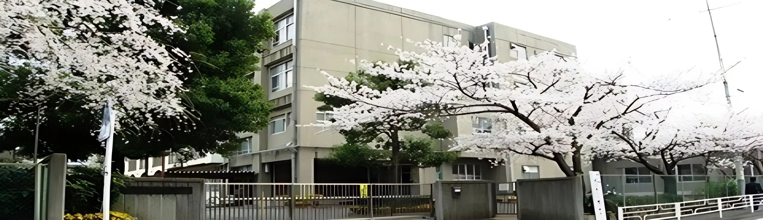 大豆戸ミニバスケットボールクラブ 横浜市立大豆戸小学校のメイン画像