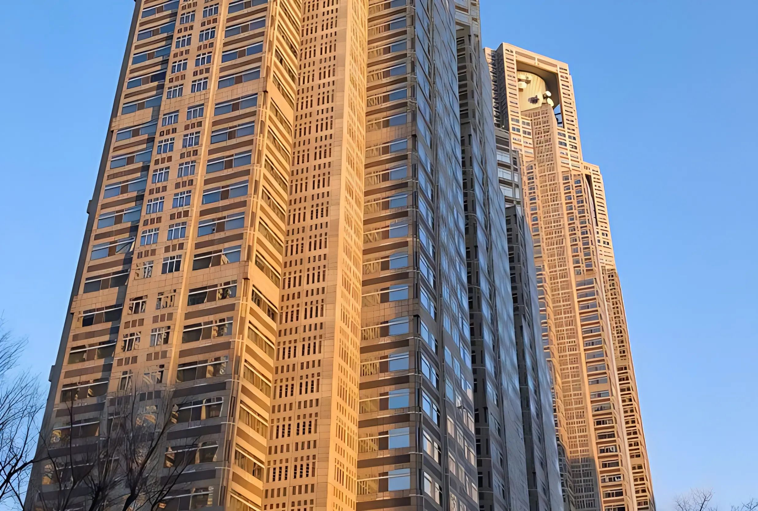 テニスユニバース 大正セントラルテニススクール目白のメイン画像