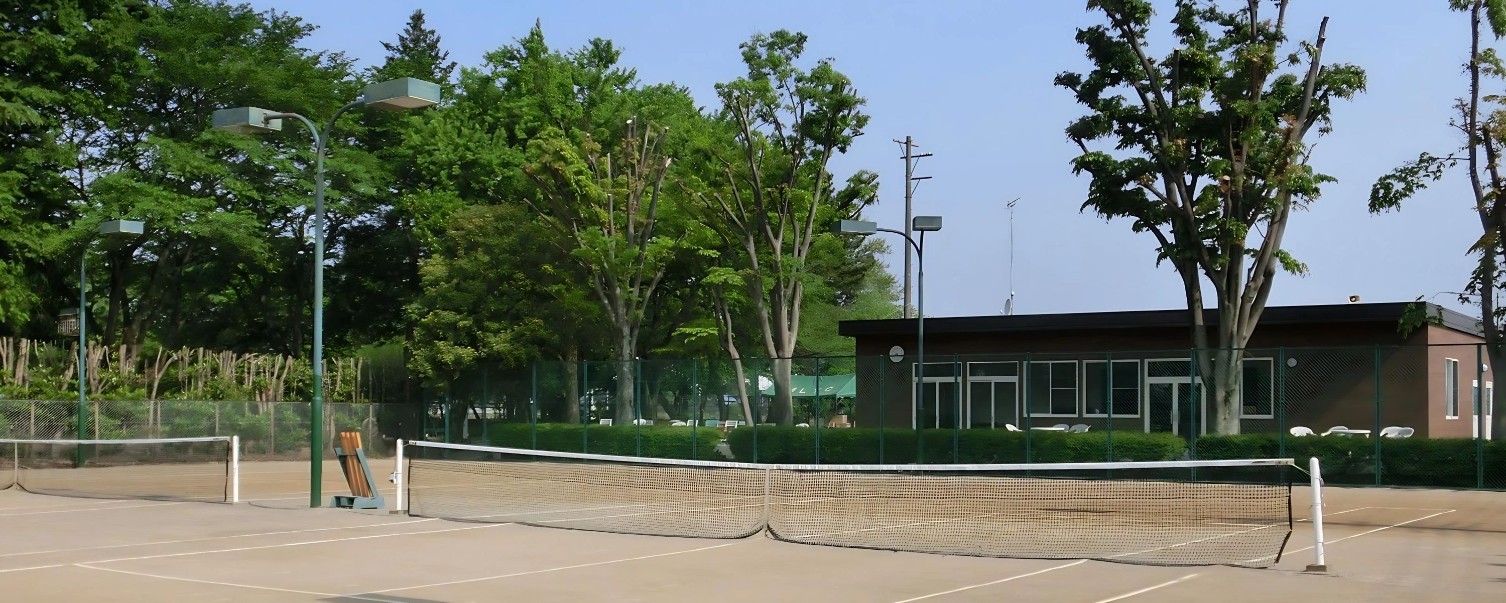 MLTC むさしの村ローンテニスクラブ 志多見教室のサムネイル画像 2