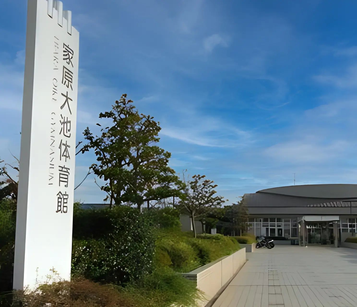 M．S．テニスカレッジ(エム・エス・テニスカレッジ) 堺市原池公園体育館ミズノインドアテニススクールのサムネイル画像 5