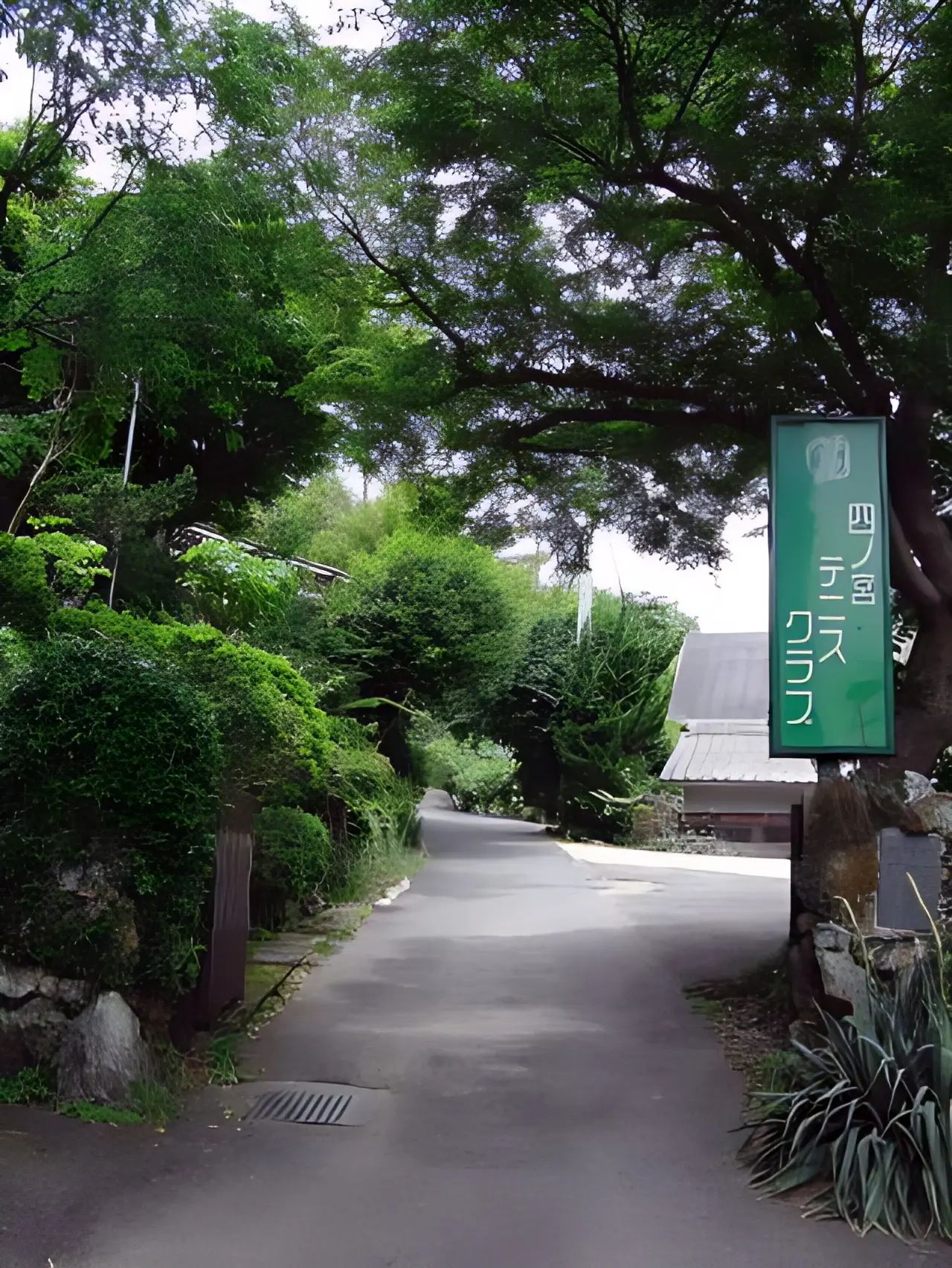 四ノ宮テニスクラブ 本校のメイン画像