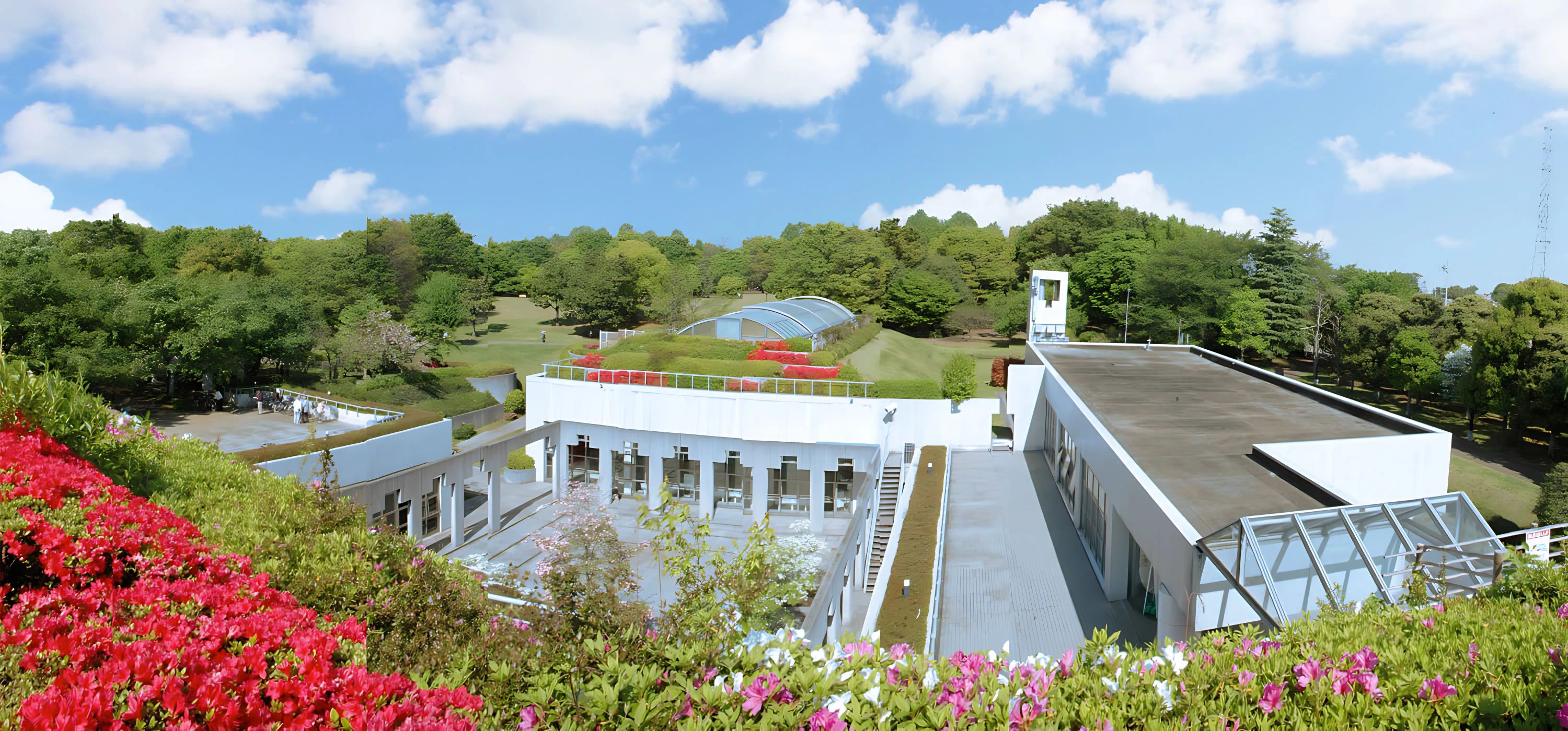 調布合気道会　西調布合気道 西調布体育館のメイン画像