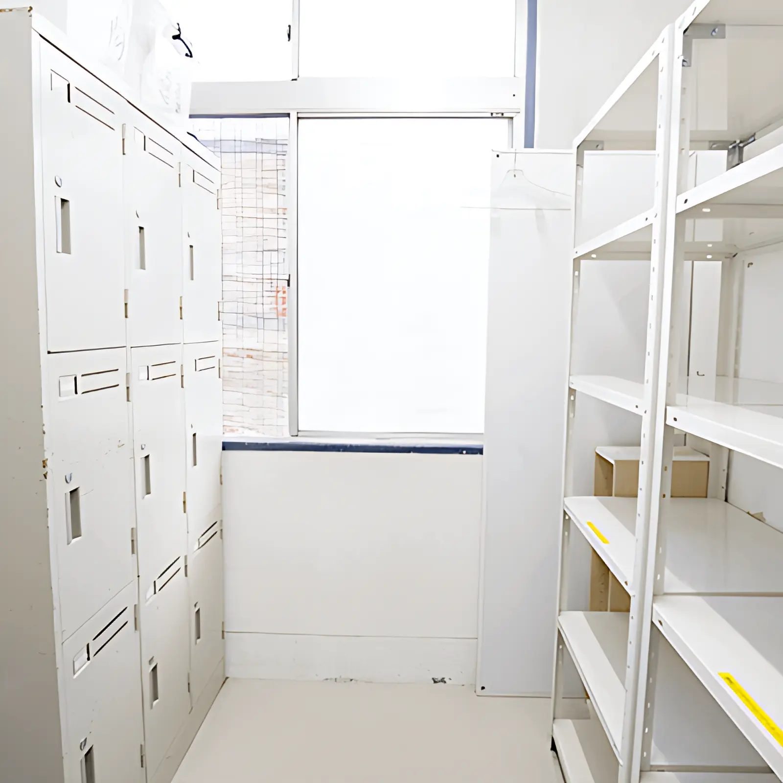 STF 総合格闘技 富士見ジムのサムネイル画像 2