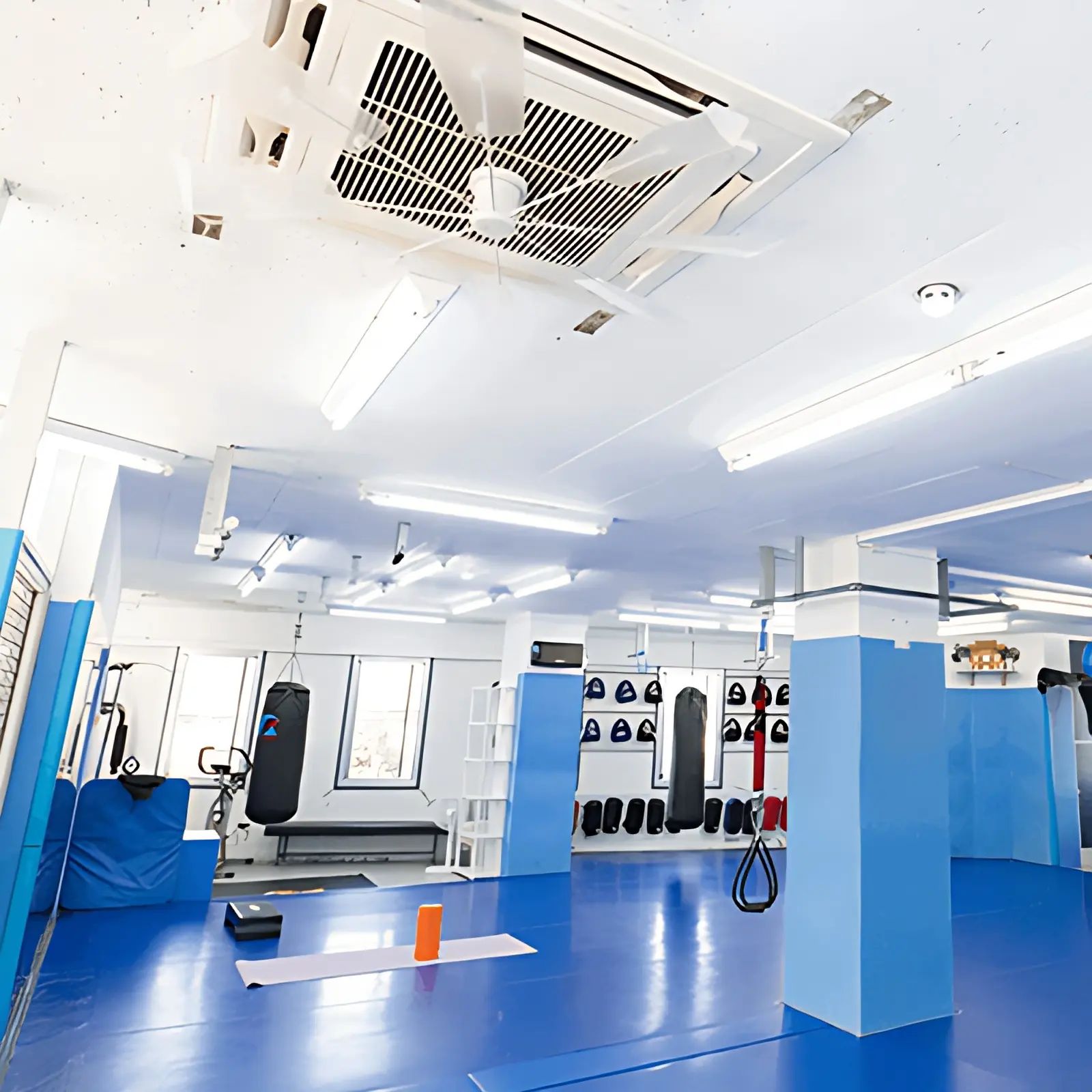 STF 総合格闘技 富士見ジムのサムネイル画像 3