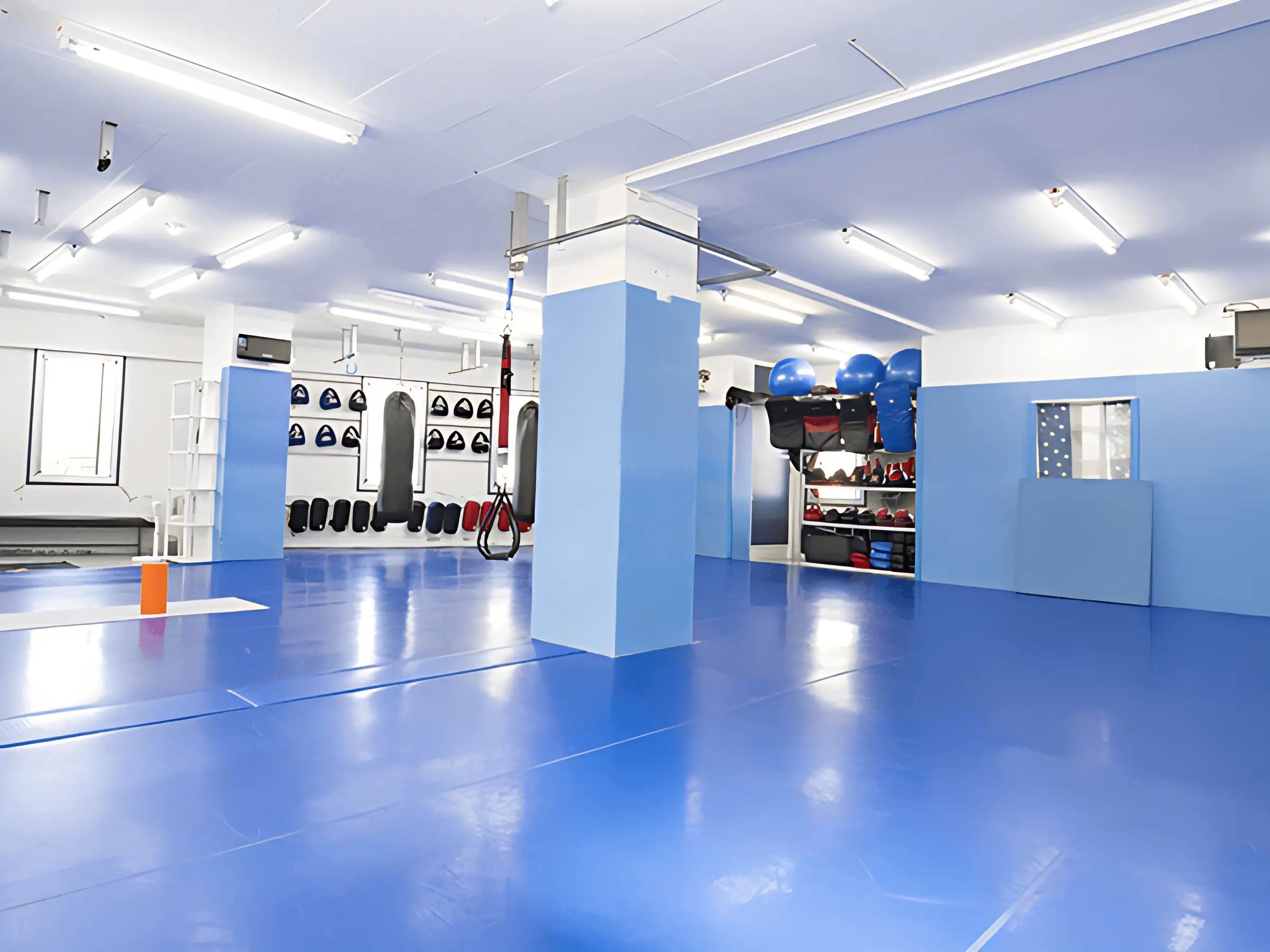 STF 総合格闘技 富士見ジムのサムネイル画像 5