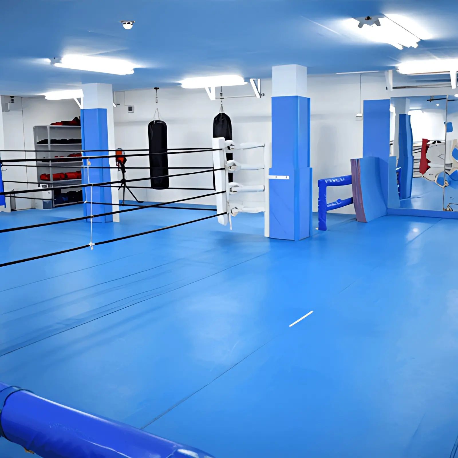 STF 総合格闘技 浦和ジムのサムネイル画像 3