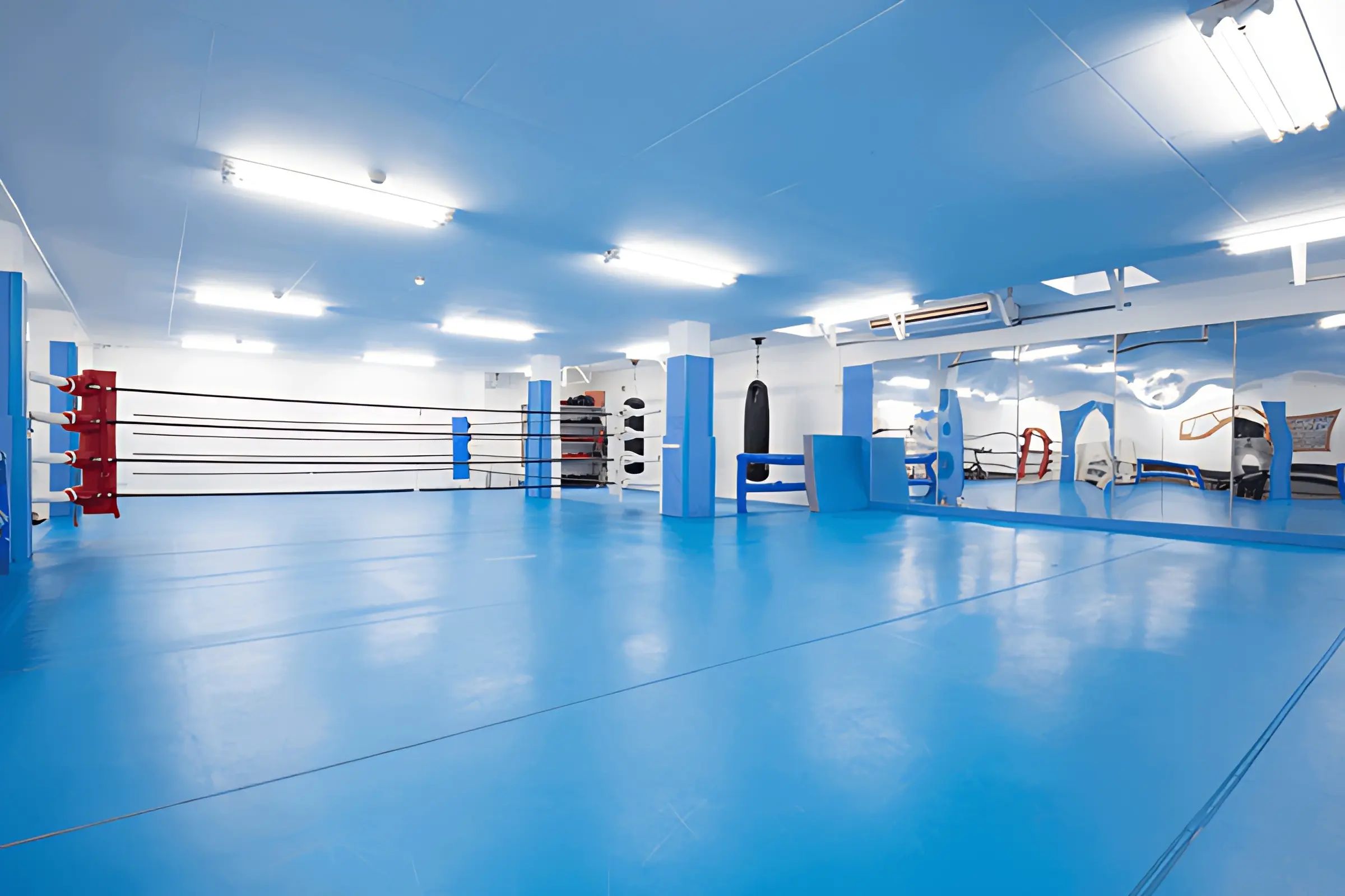 STF 総合格闘技 浦和ジムのサムネイル画像 5