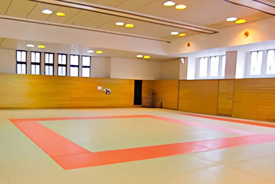 浦安市少林寺拳法連盟 浦安市中央武道館のメイン画像