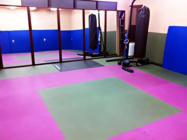 和術慧舟會 格闘技 船橋道場のメイン画像