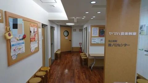 川上楽器 ビオラ 溝ノ口センターのメイン画像