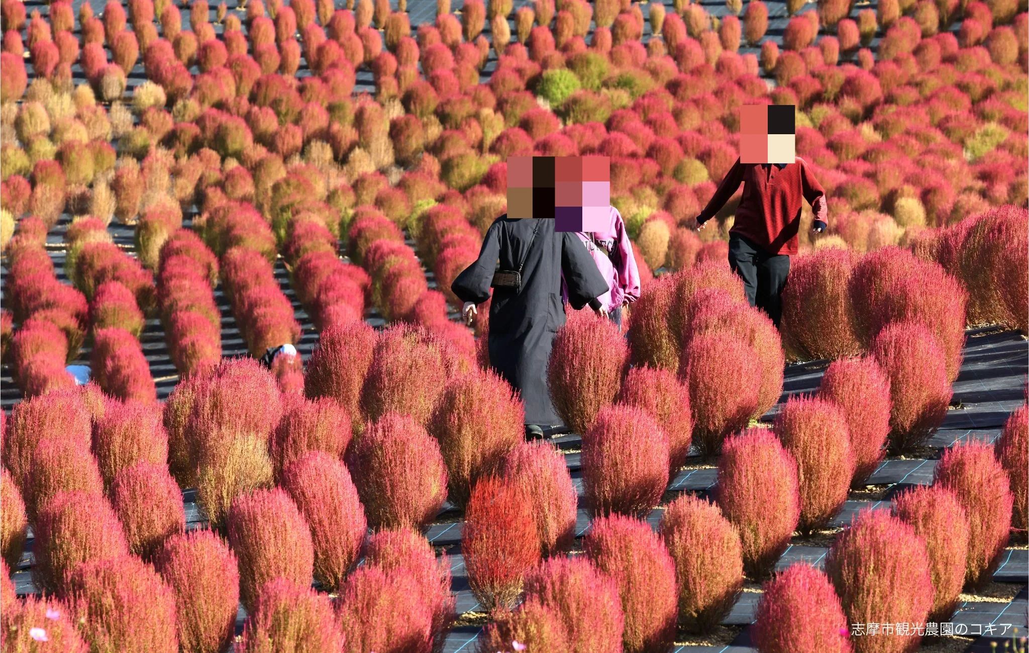 CHUNICHI CULTURE ウクレレ 津中日文化センターのメイン画像