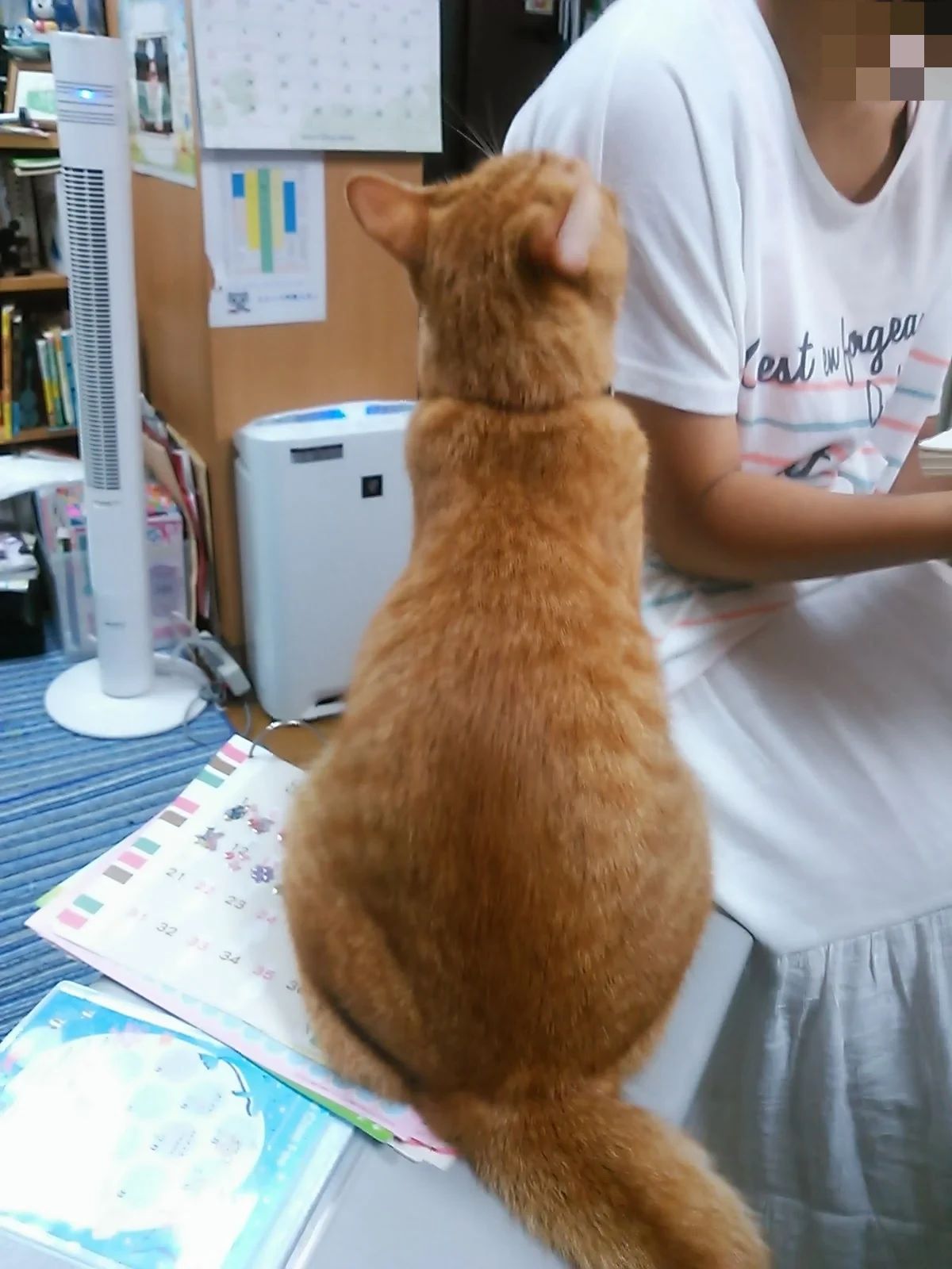 江口ピアノ･エレクトーン教室 高良内町教室のメイン画像