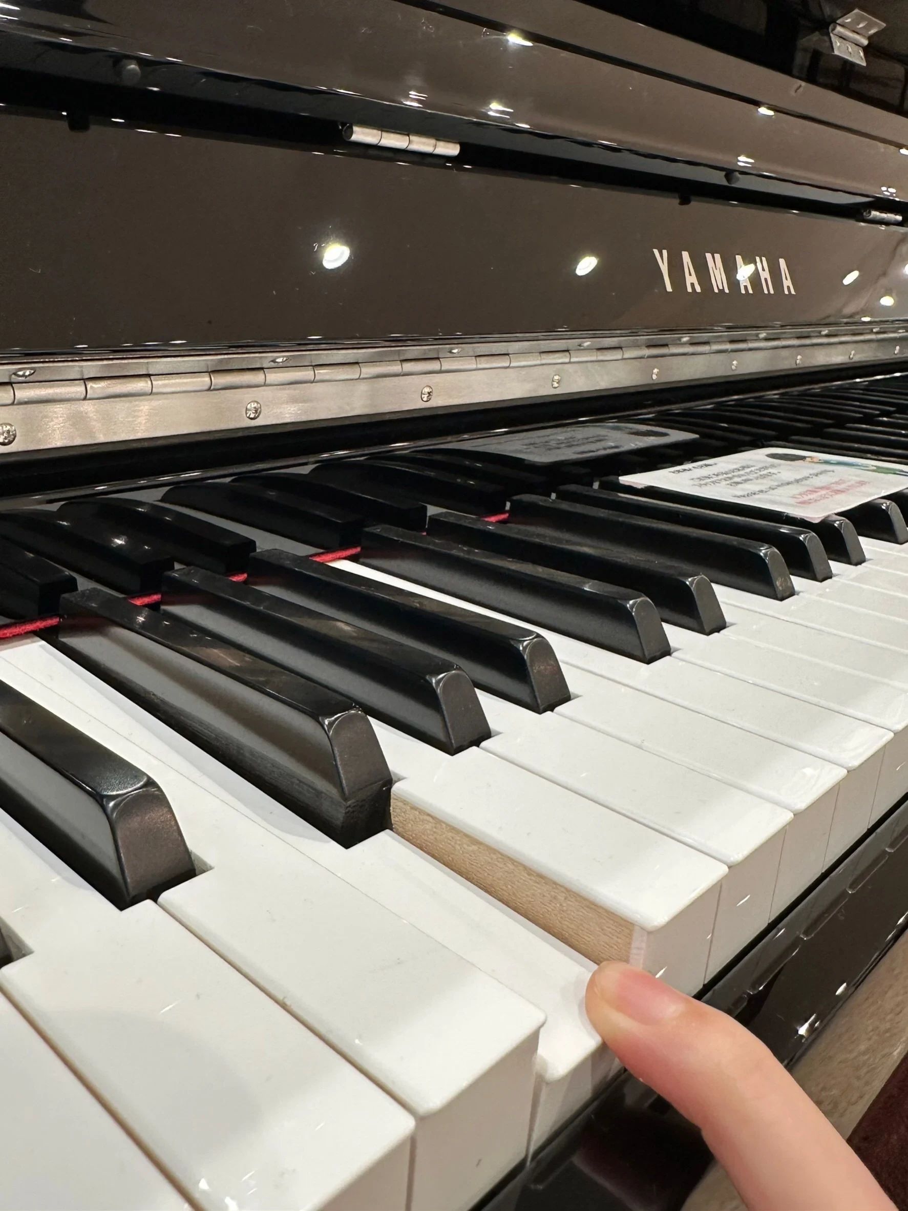 伊藤楽器 和楽器 ミュージックサロンららぽーとのサムネイル画像 5