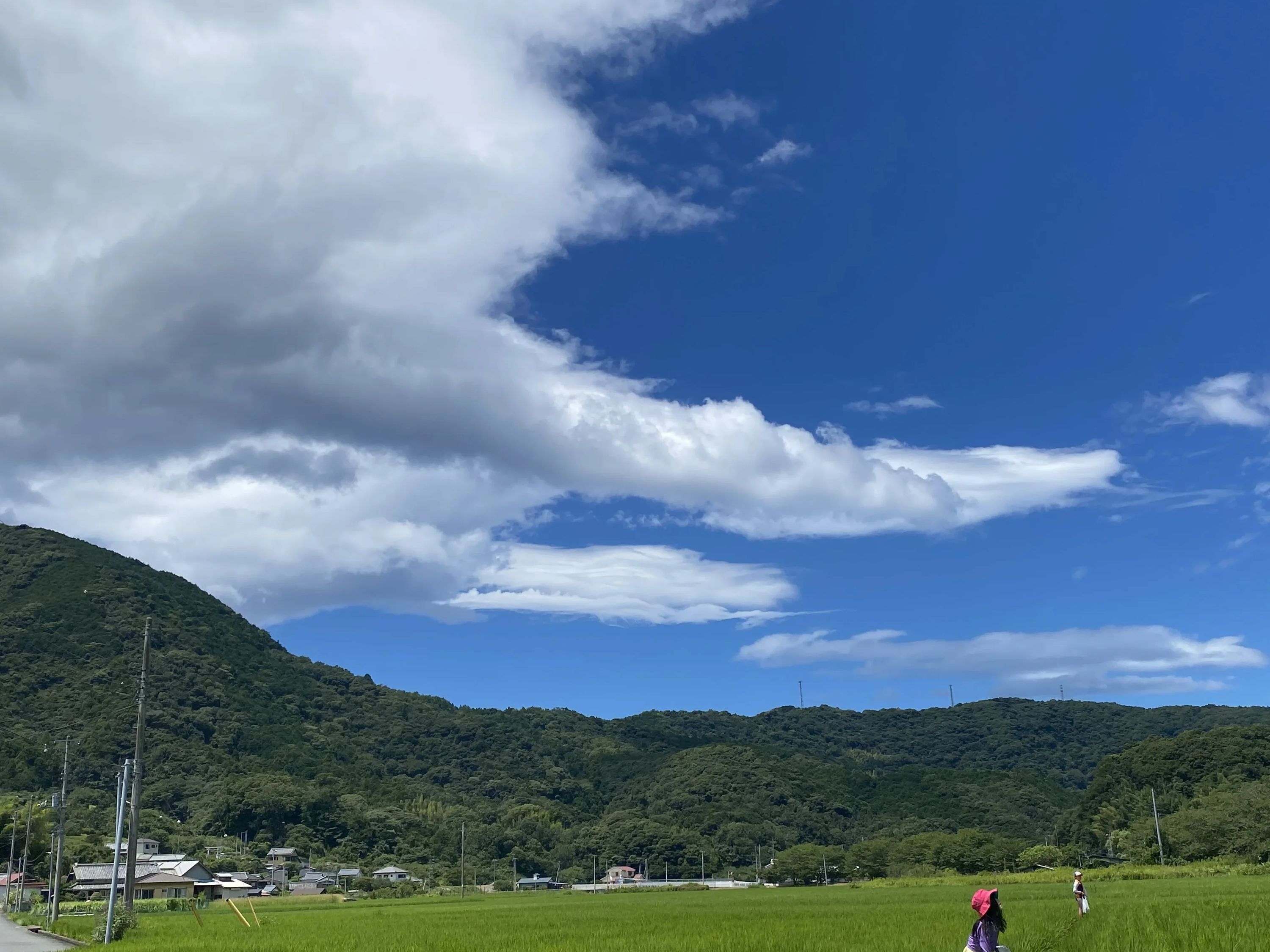 知力育成教室アデック 幼児教室 方南町校のサムネイル画像 4