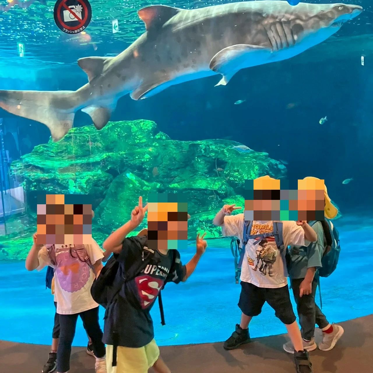 シリコンバレーアカデミー 幼児教室 八雲教室のサムネイル画像 3