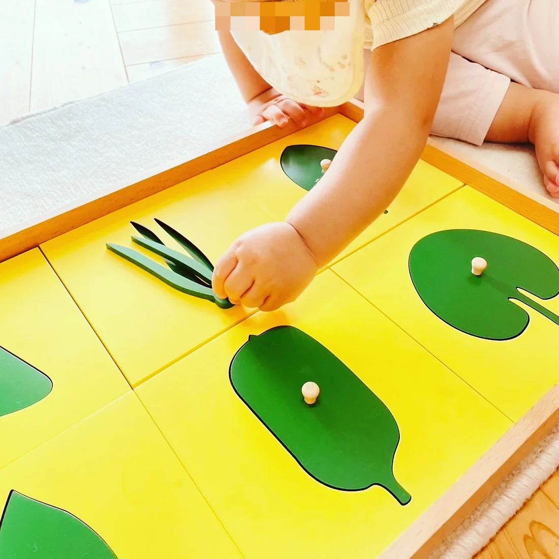 リトルモンテつくば 幼児教室 春日教室のサムネイル画像 2