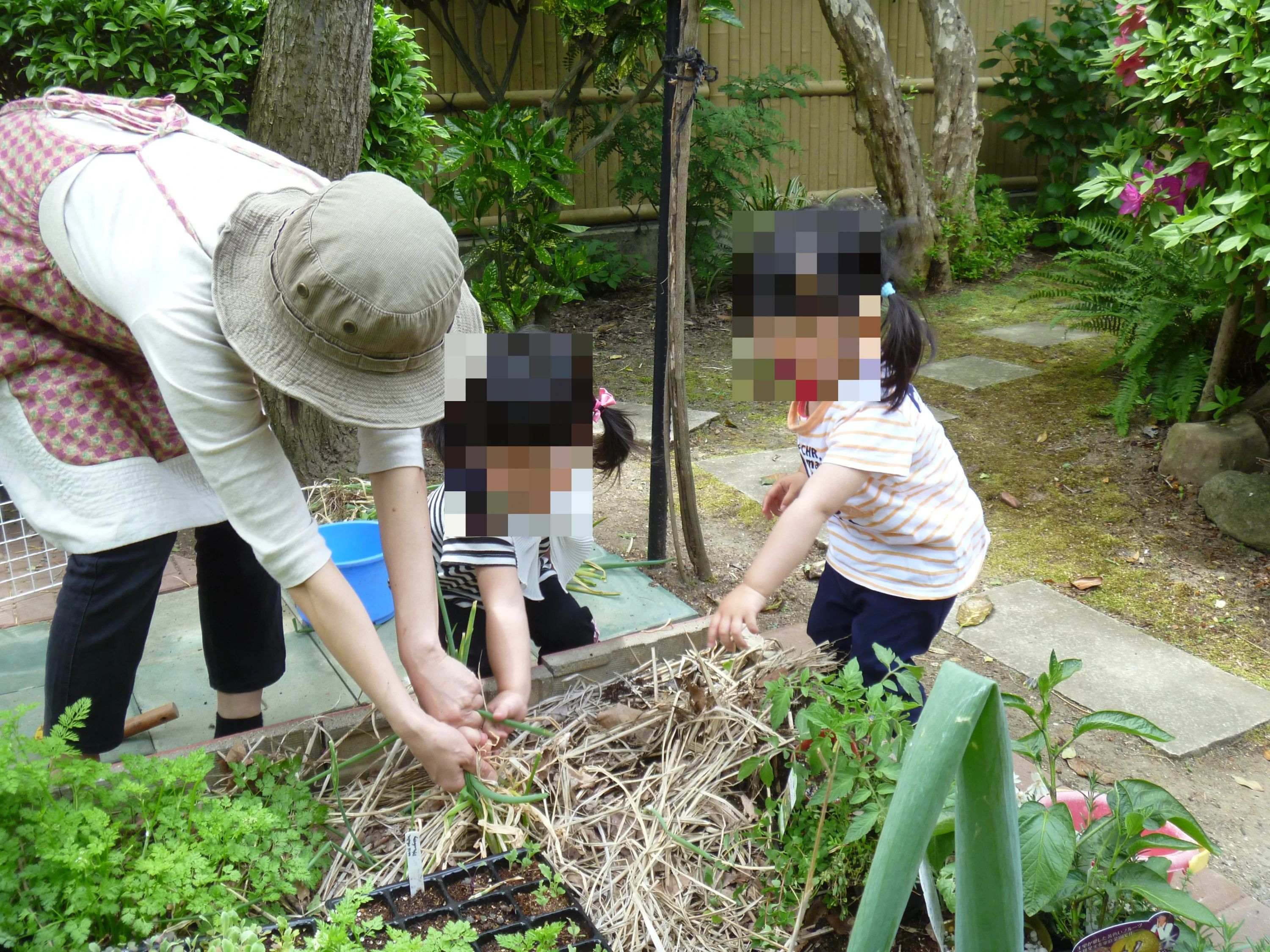 ロンドンイングリッシハウス長野 幼児教室 高田教室のサムネイル画像 3