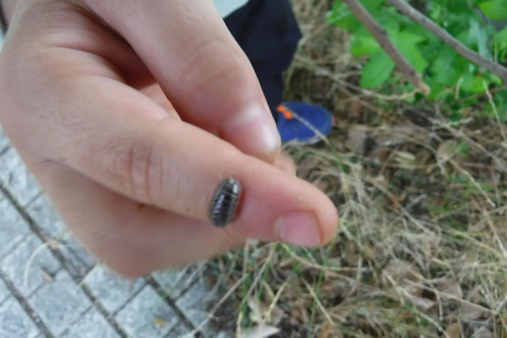 ぴょんぴょん 幼児教室 太田下町教室のサムネイル画像 4