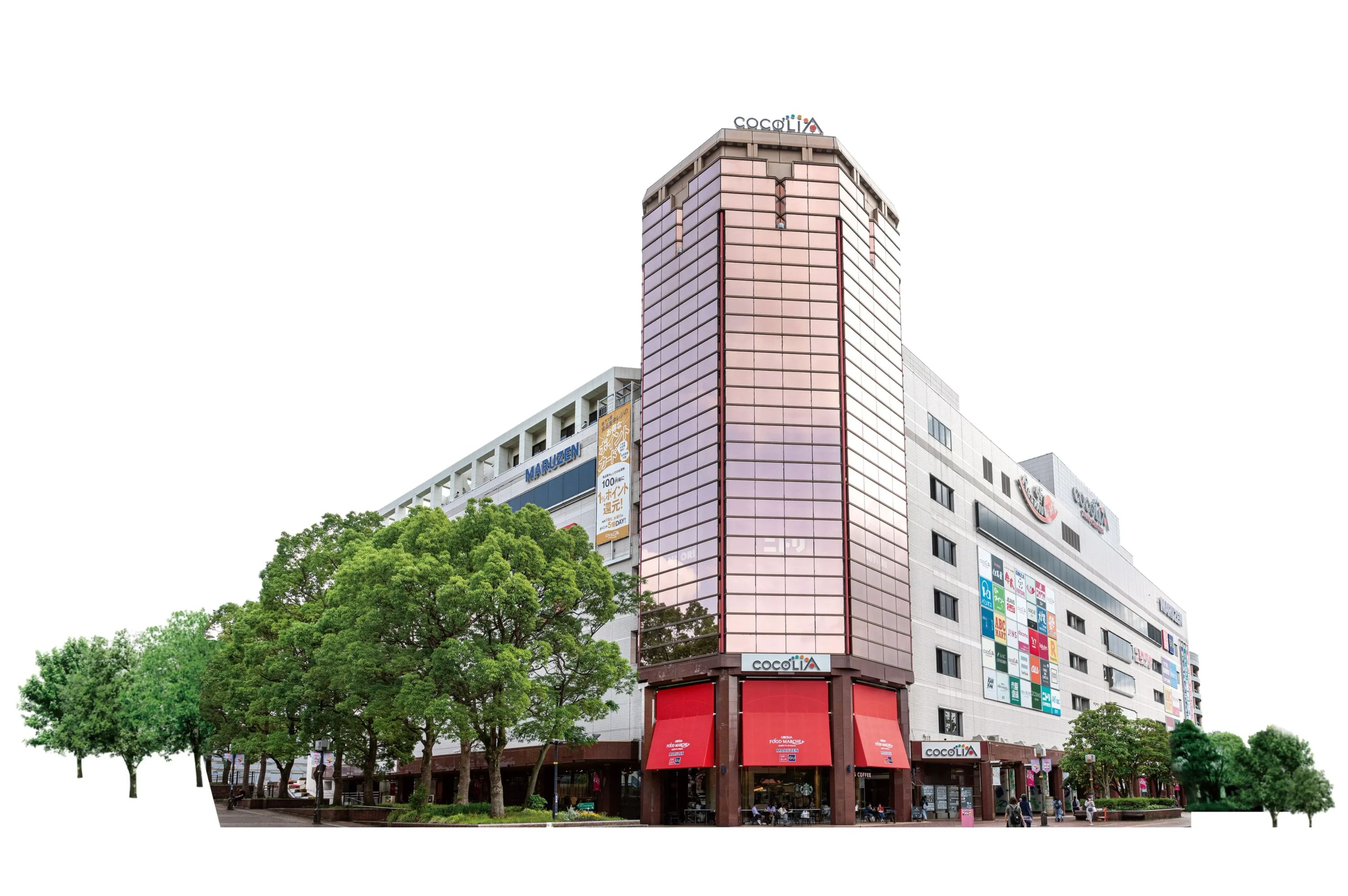 ヤマハ音楽教室 リトミック スガナミミュージックサロン多摩のメイン画像