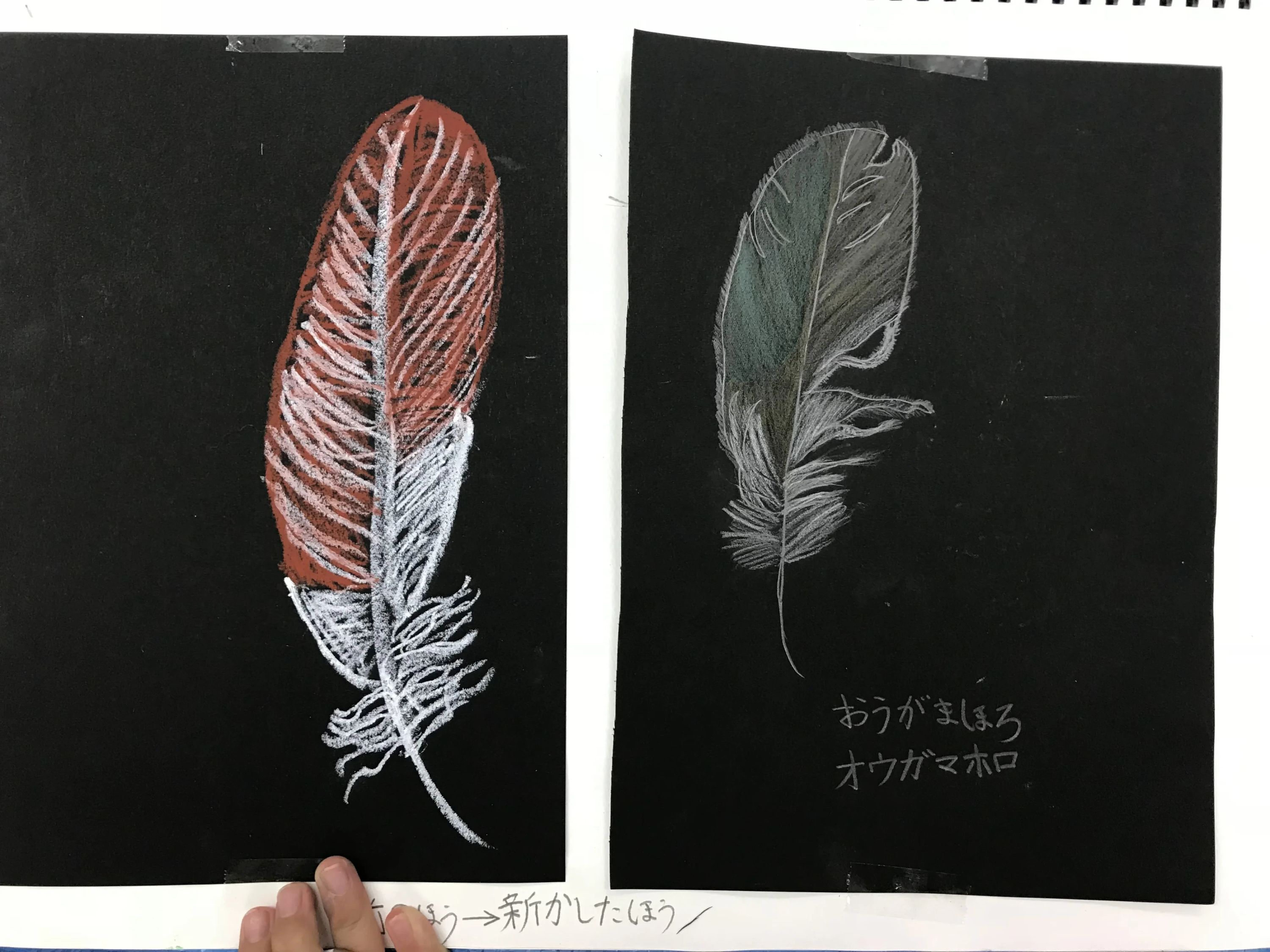 小野カルチャースクールくにたち絵画教室 中教室のサムネイル画像 5