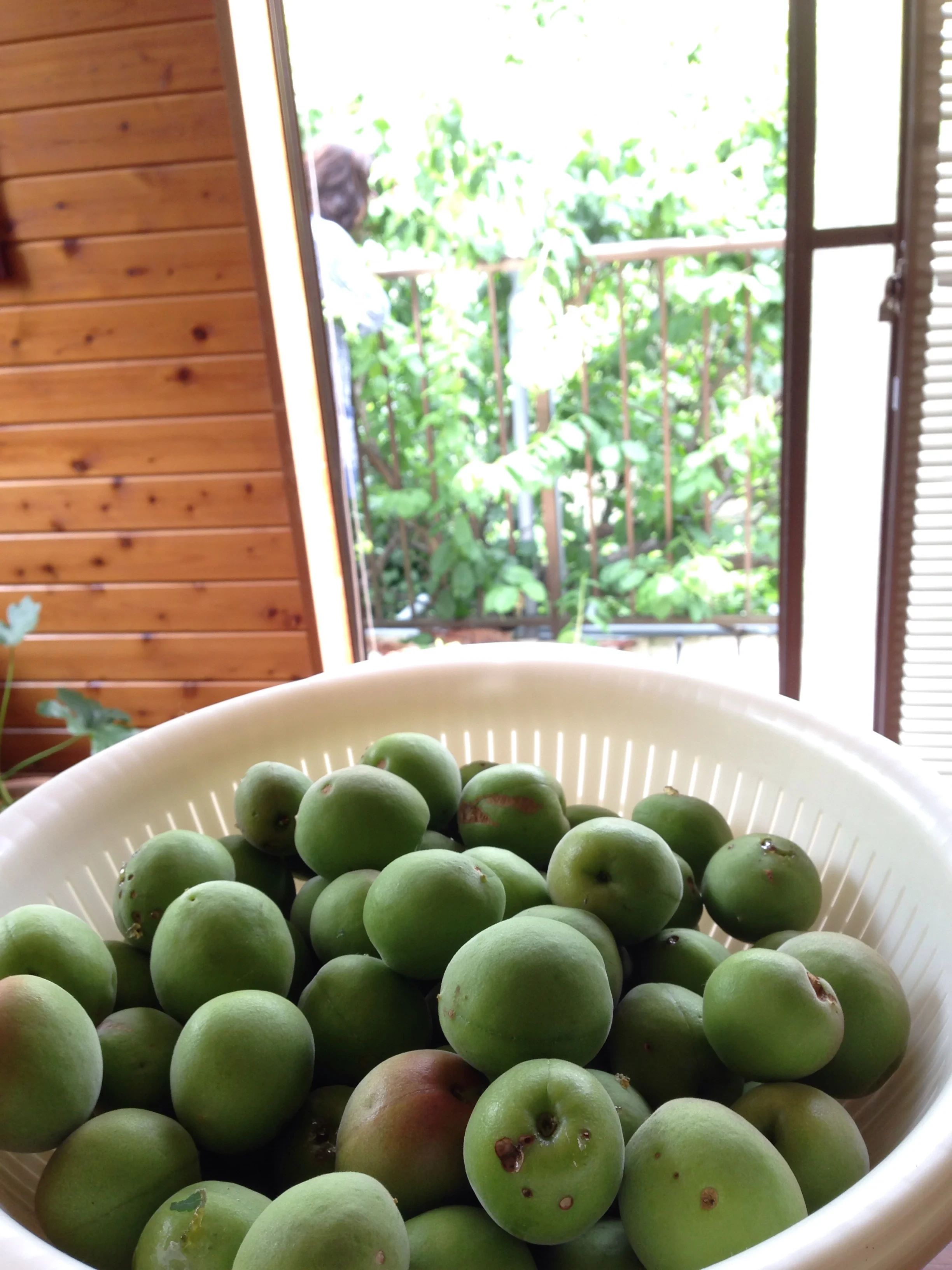 八陶窯 美術（絵画・造形・工作） 玉川学園教室のサムネイル画像 2