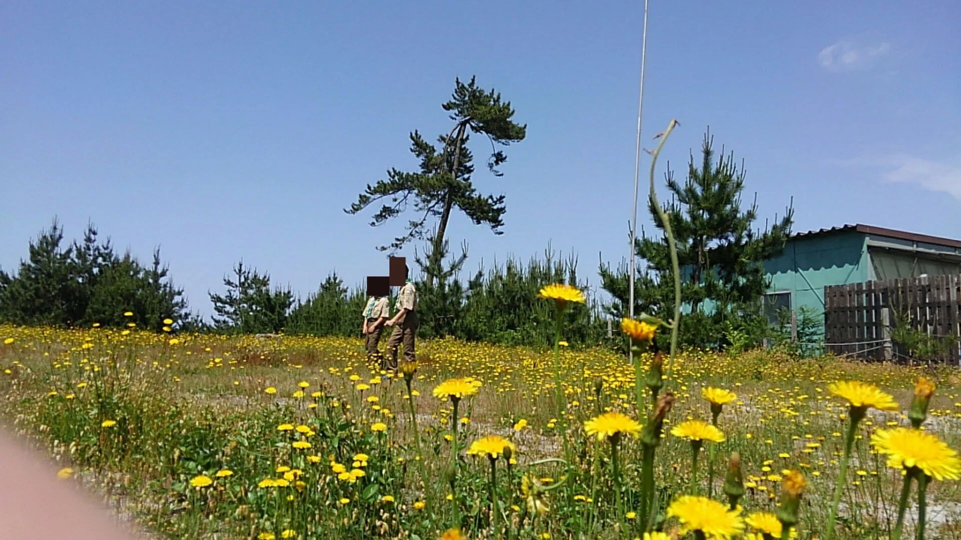 ボーイスカウト 米子第11団のサムネイル画像 4