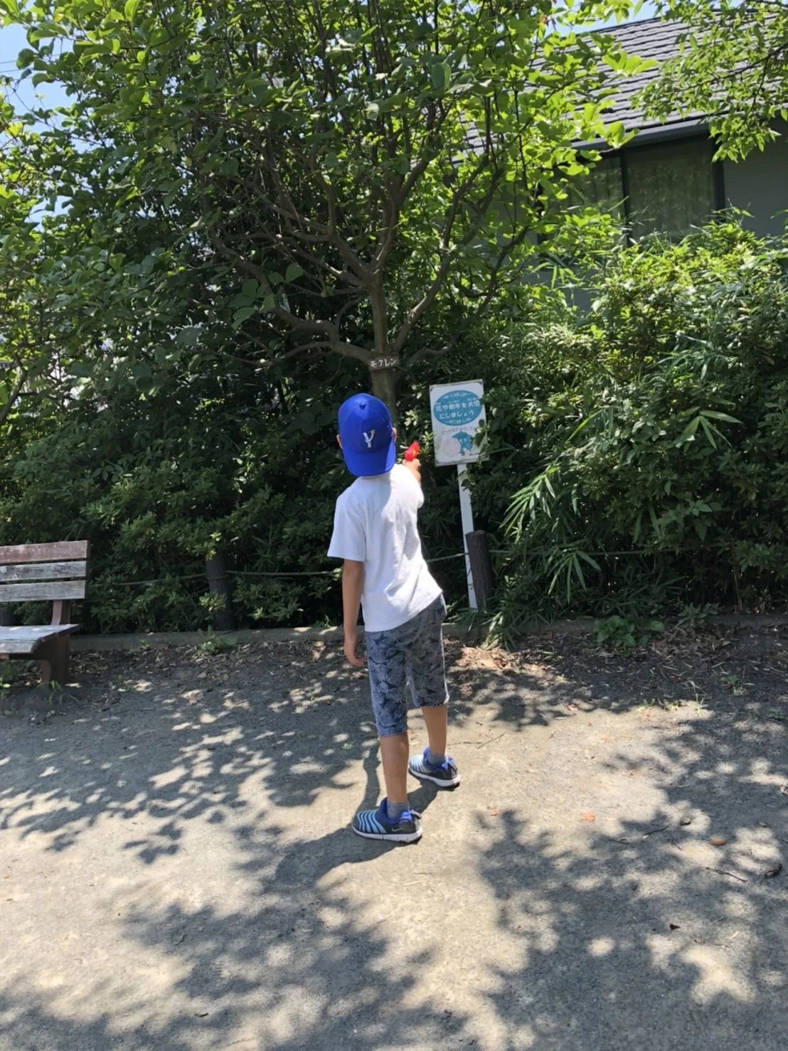 ソフィアキッズ アフタースクール 大倉山教室のサムネイル画像 4