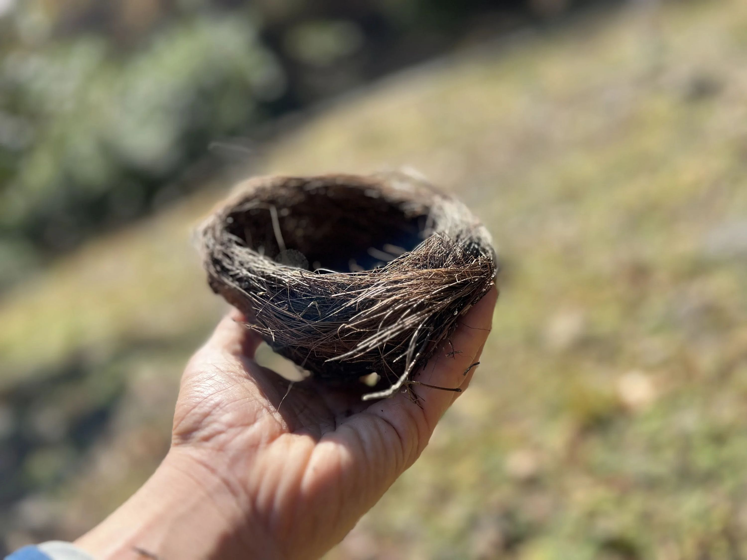 藤野料理教室にじ 日連教室のサムネイル画像 5