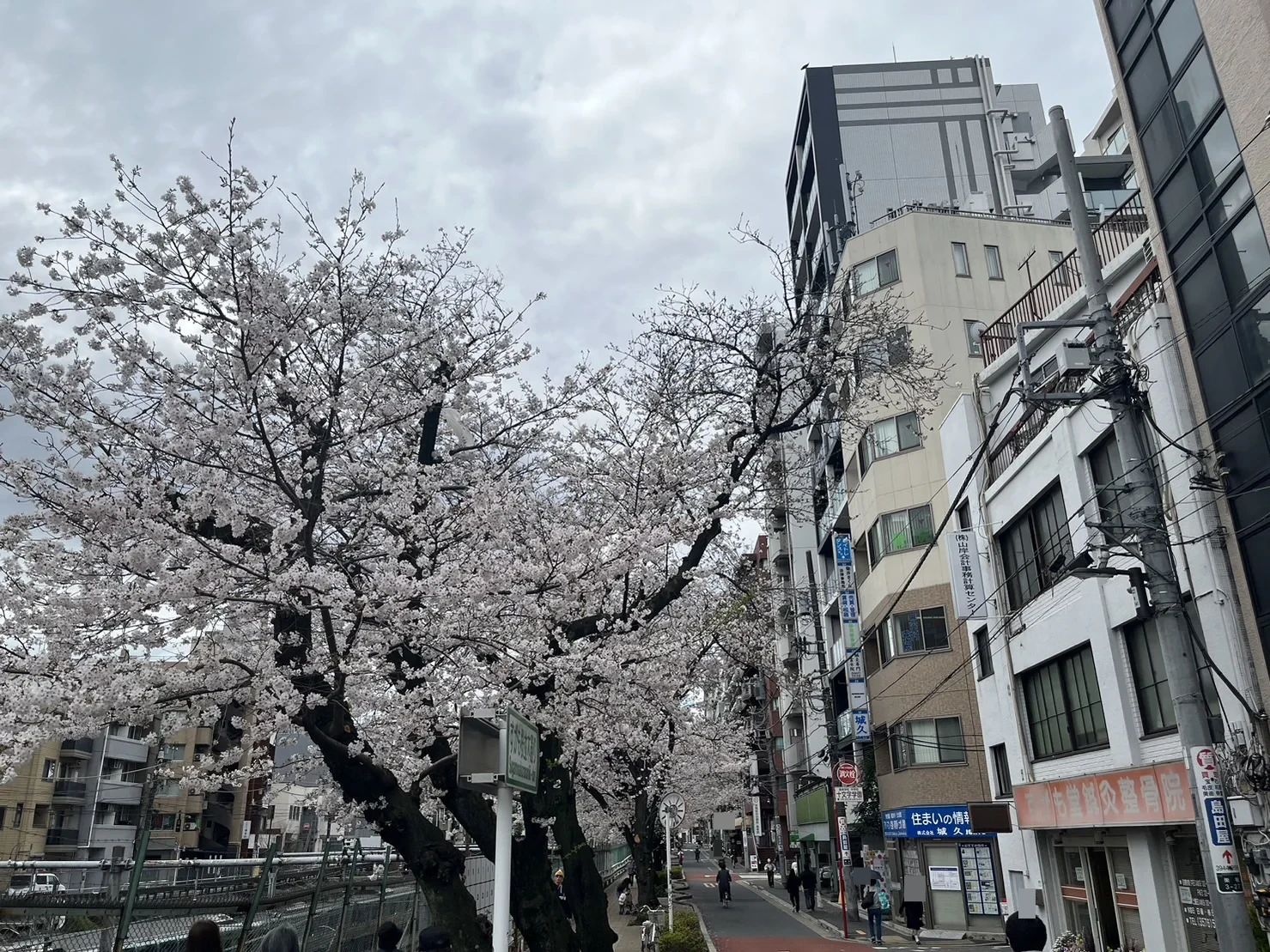 NAYUTAS 演劇 巣鴨校のメイン画像