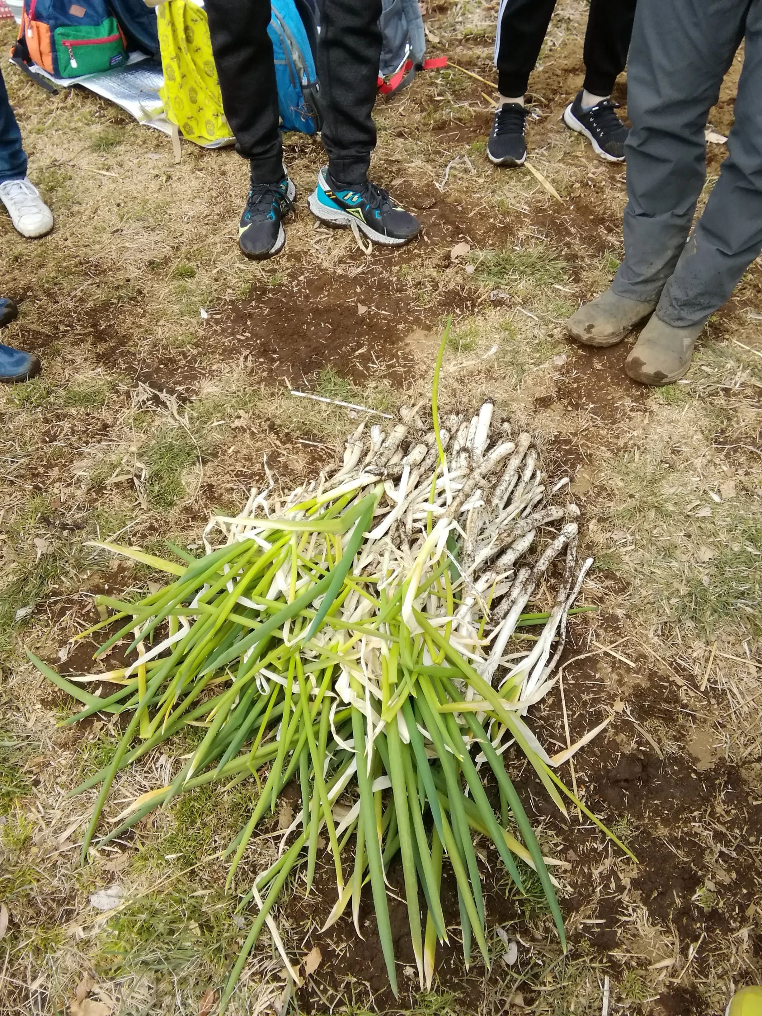 アトリエGIFT 療育（発達支援） Bigのメイン画像