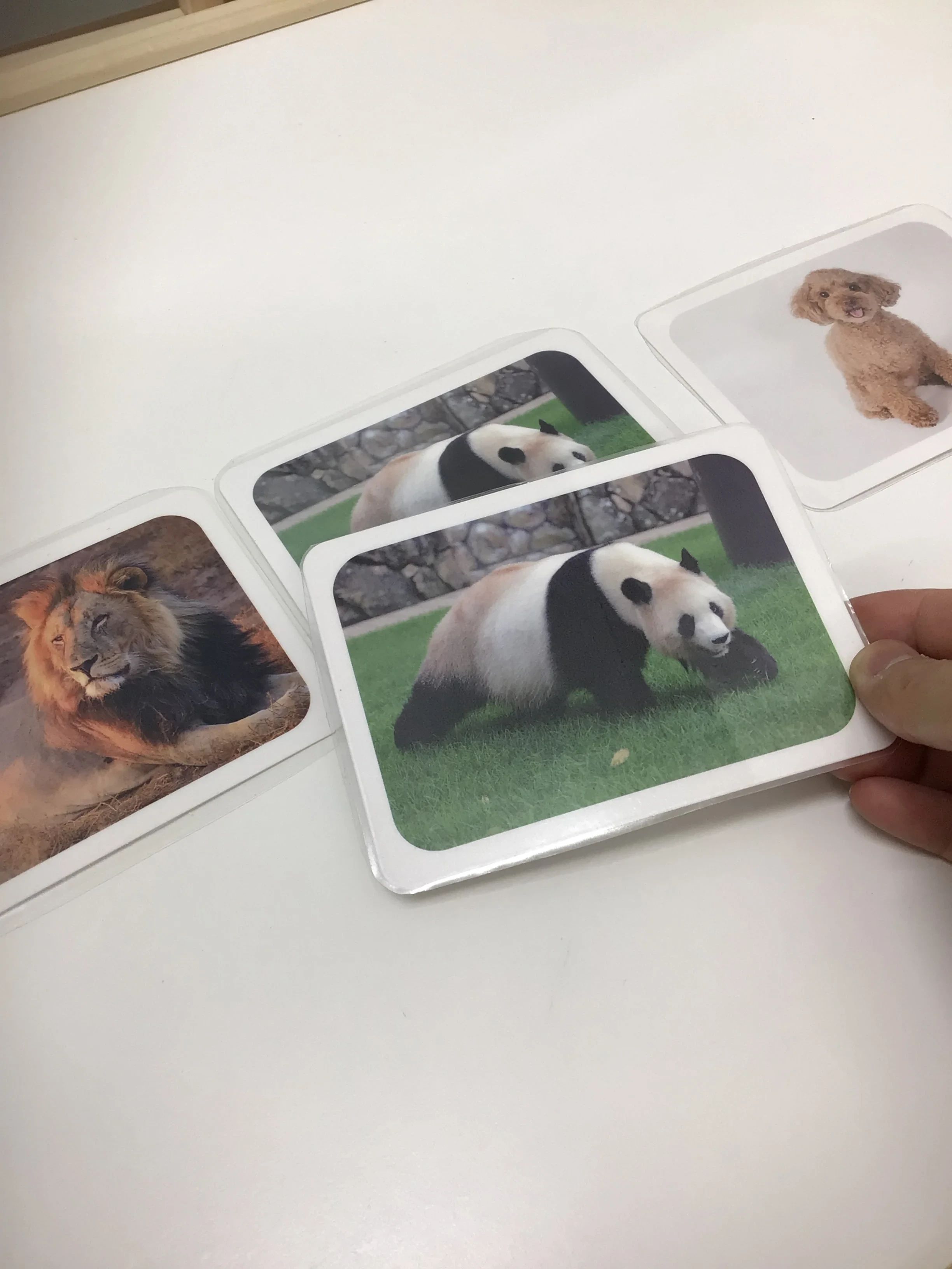 エリテ 療育（発達支援） 王子台教室のサムネイル画像 3