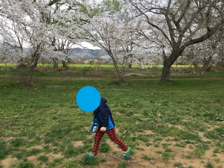 プラス 療育（発達支援） 長野稲葉教室のサムネイル画像 5