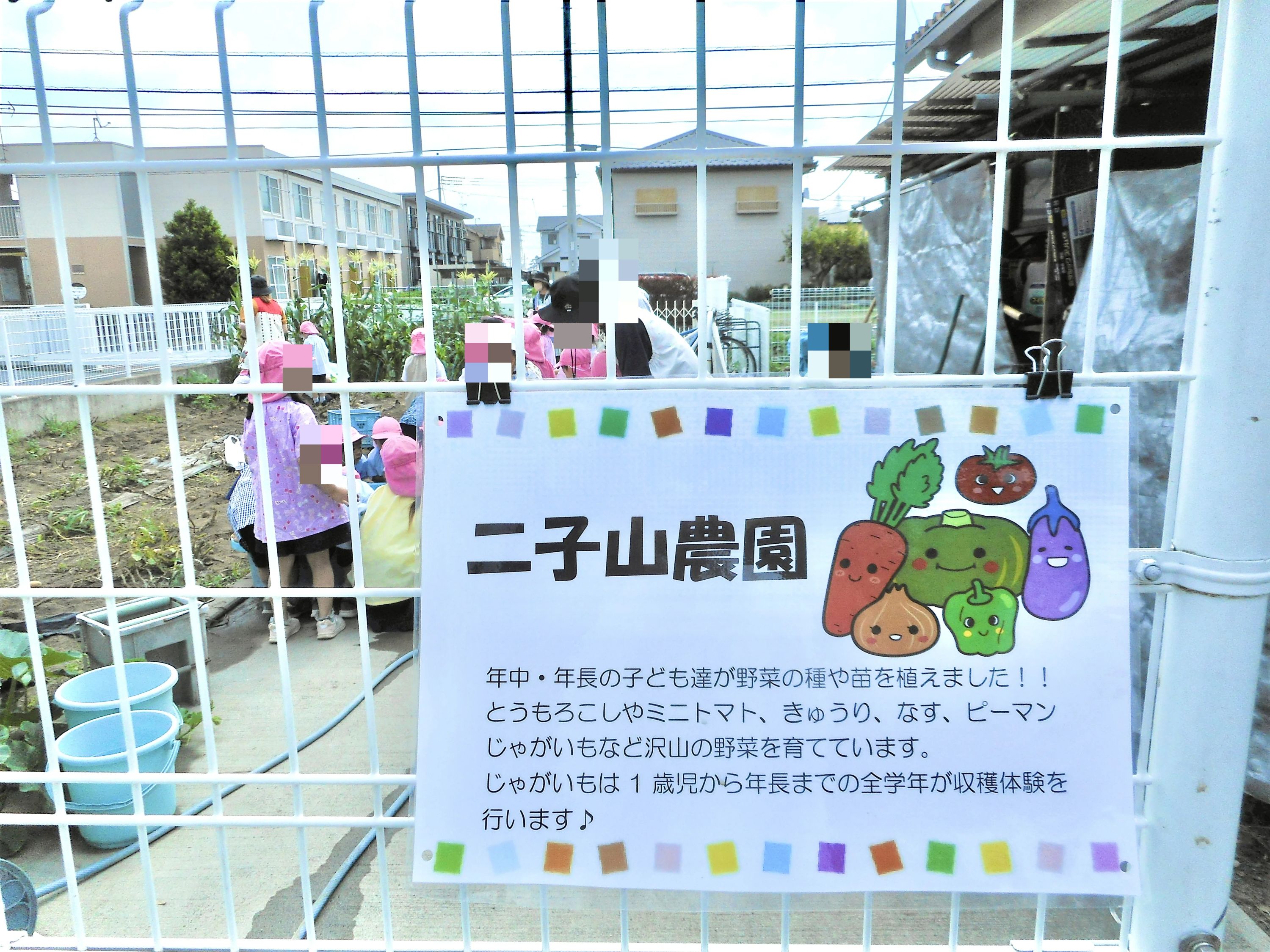 biima sports 二子山幼稚園校のサムネイル画像 3