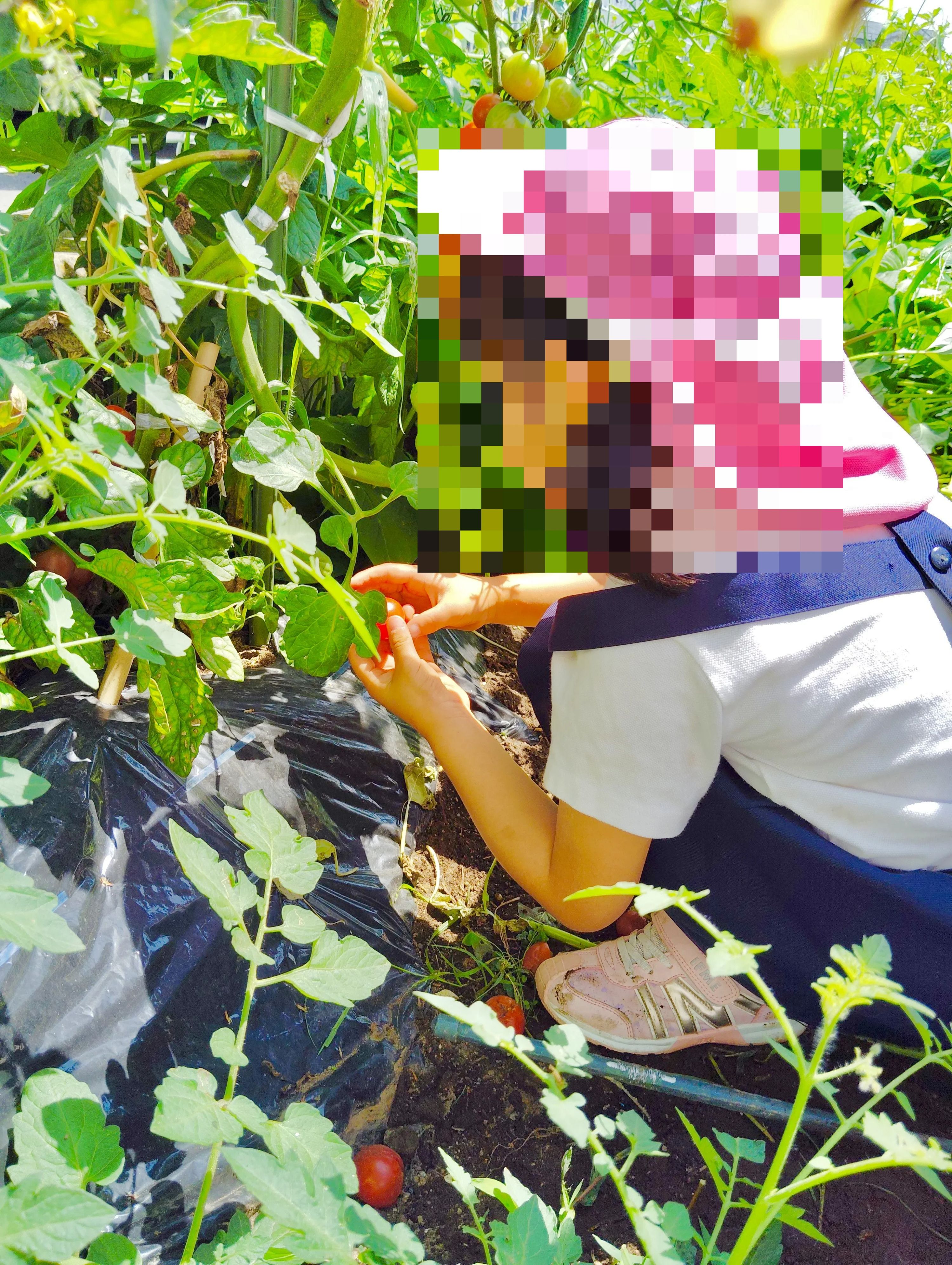 biima sports 二子山幼稚園校のサムネイル画像 4