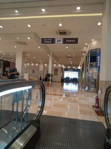 Sports Club AXTOS [キッズダンススクール] アクトス刈谷のメイン画像