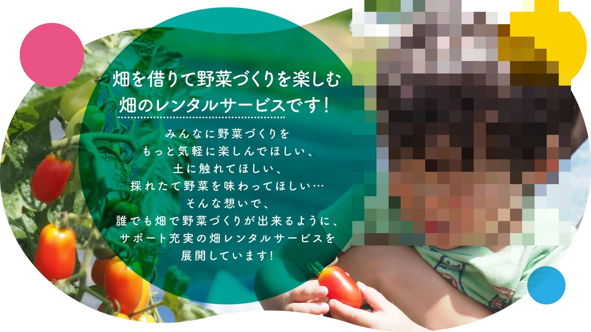 シェア畑 ららぽーと福岡のサムネイル画像 2