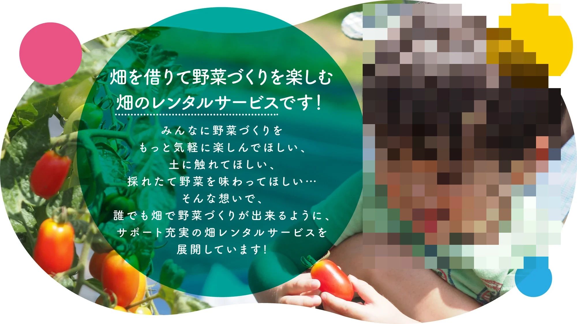 シェア畑 武蔵中原のサムネイル画像 3