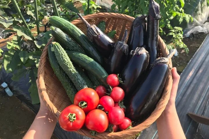 シェア畑 さいたま与野のメイン画像