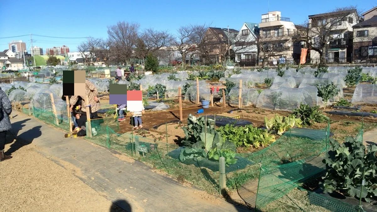 シェア畑 さいたま与野のサムネイル画像 2