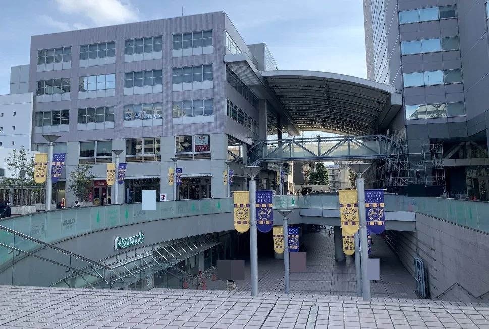 プログラミング教育 HALLO 文教堂 グリーンコート校のサムネイル画像 2