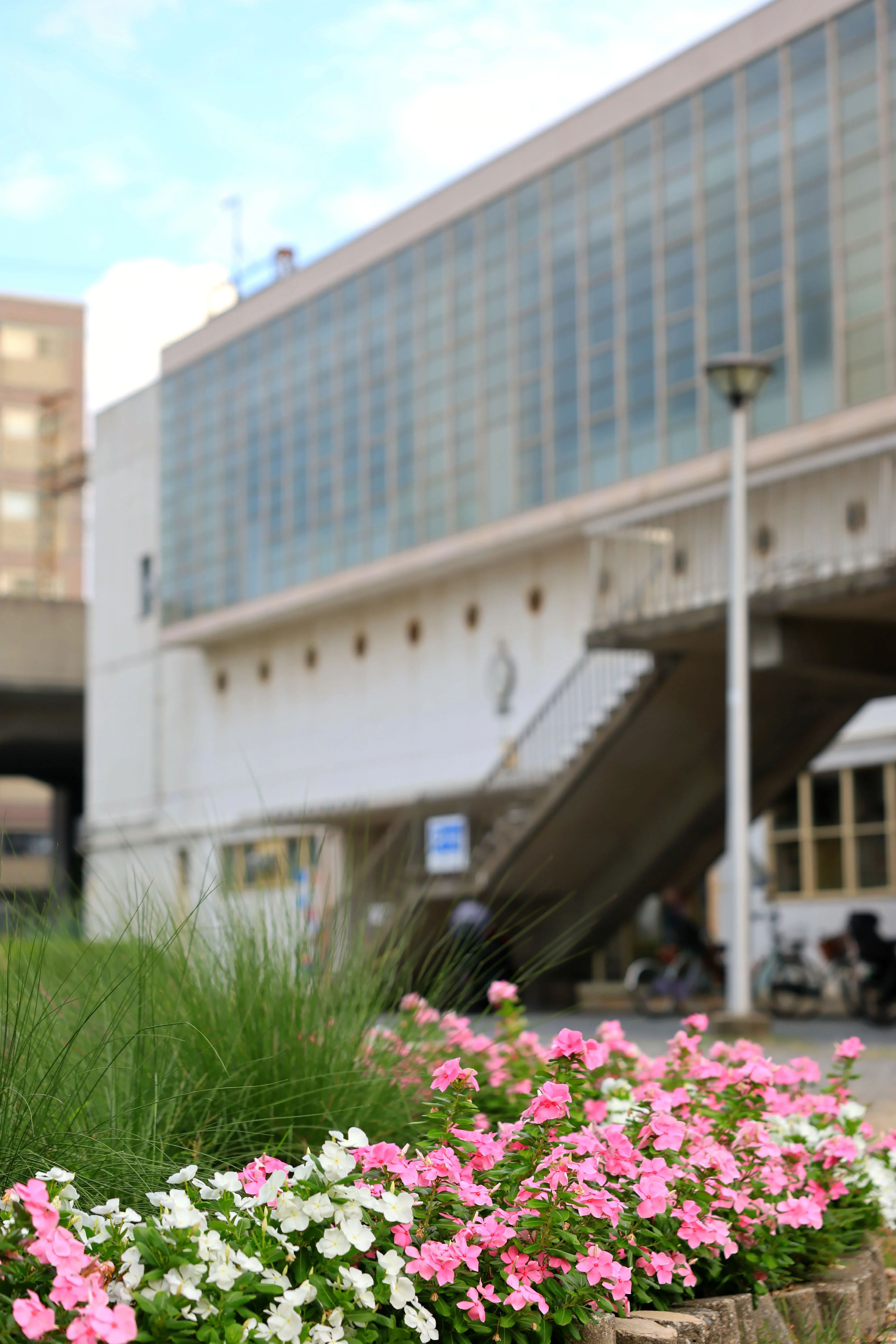 I.K.O.N.極真会館 大阪南海支部 住之江道場のサムネイル画像 4